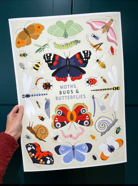 Moths, Bugs & Butterflies art print