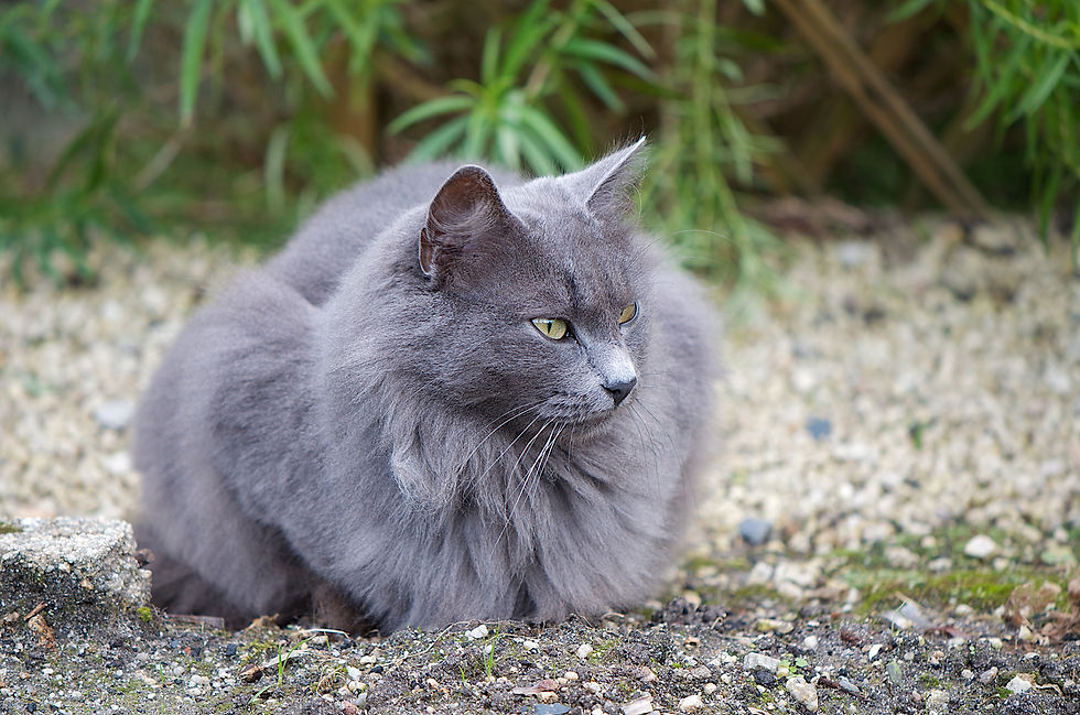 Observing