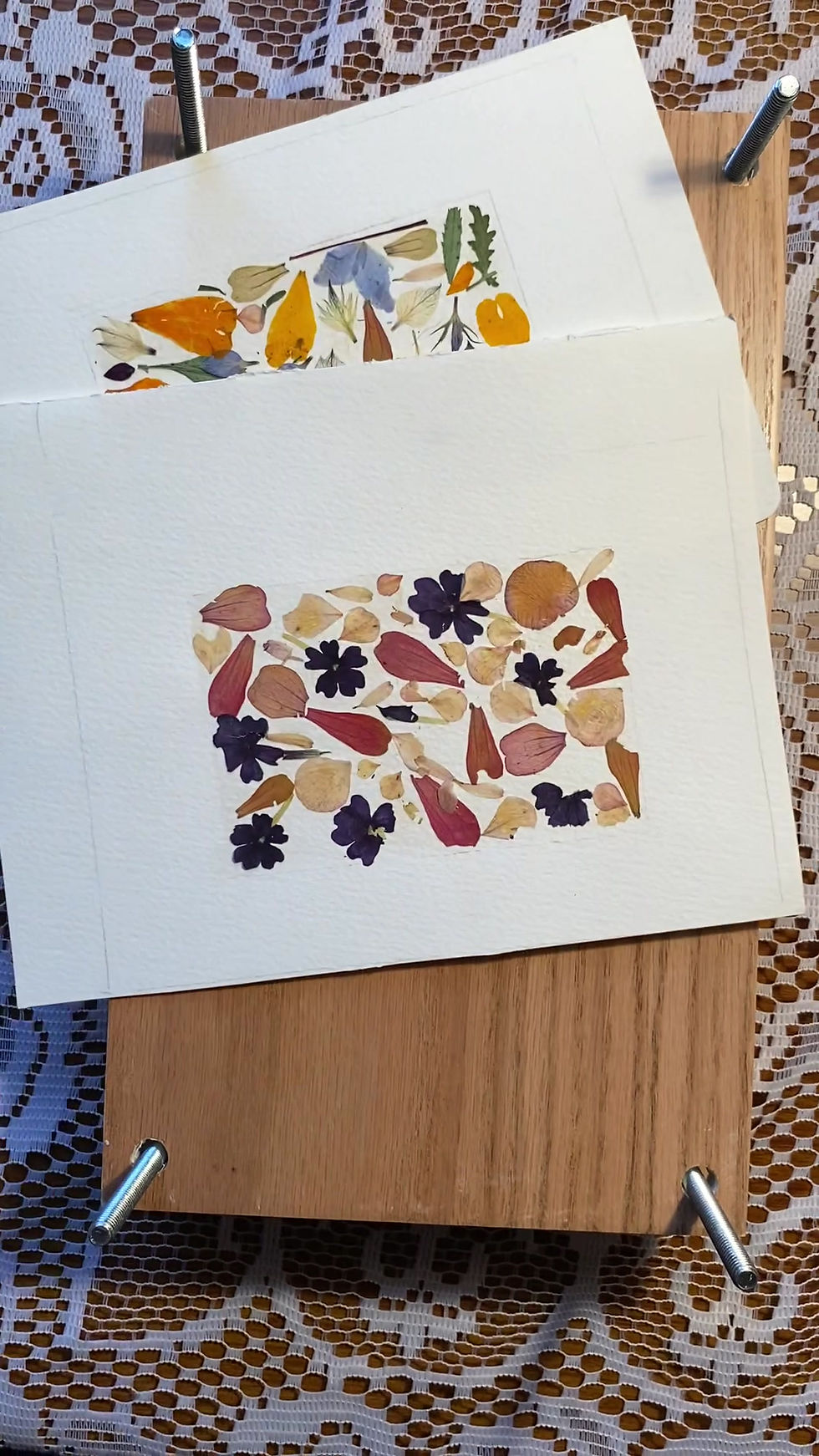 Thumbnail: Workshop on different methods of drying and storing flowers