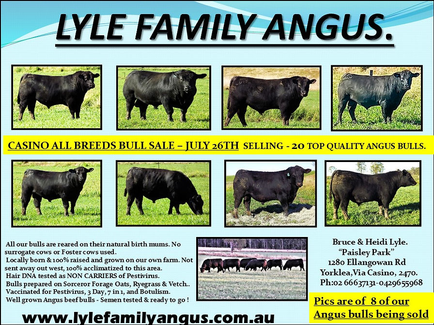Lyle Family Angus Advert 2025 The Times.jpg