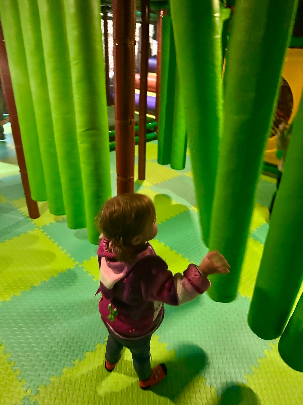 Rainy Day Things to Do With Kids in Chico & Paradise, CA | Indoor Family Fun Guide