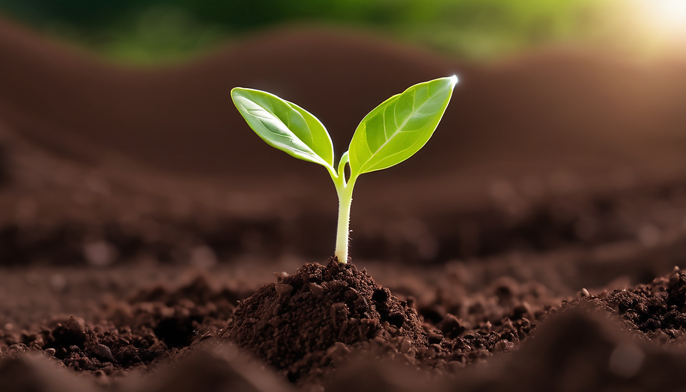 Sustainability Workshop for a Greener Future