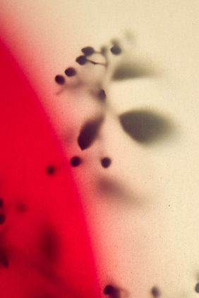 Photographe nature morte studio Brest, set design artistique pour marques premium et éditoriales.