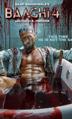 Pranab did VFX in Baaghi
