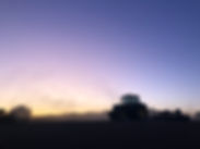 IMG_2756.jpeg