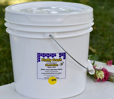 all natural honey bee food