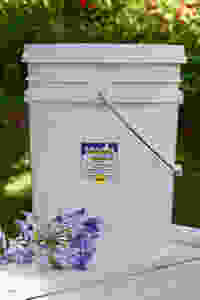 bulk fresh bee pollen