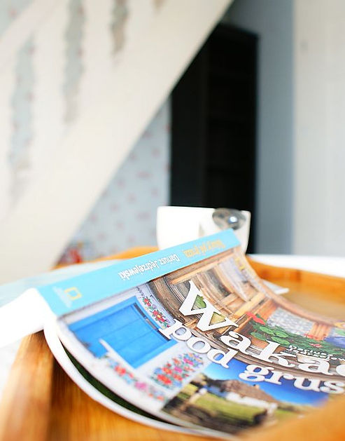 Wakacje Swornegacie Książka