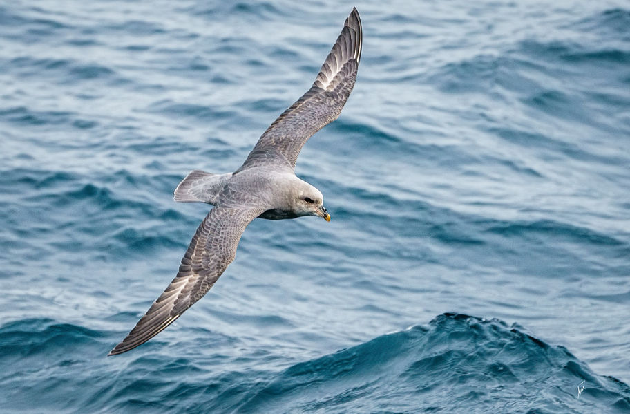 Copia de _SVB6641-Edit.jpg