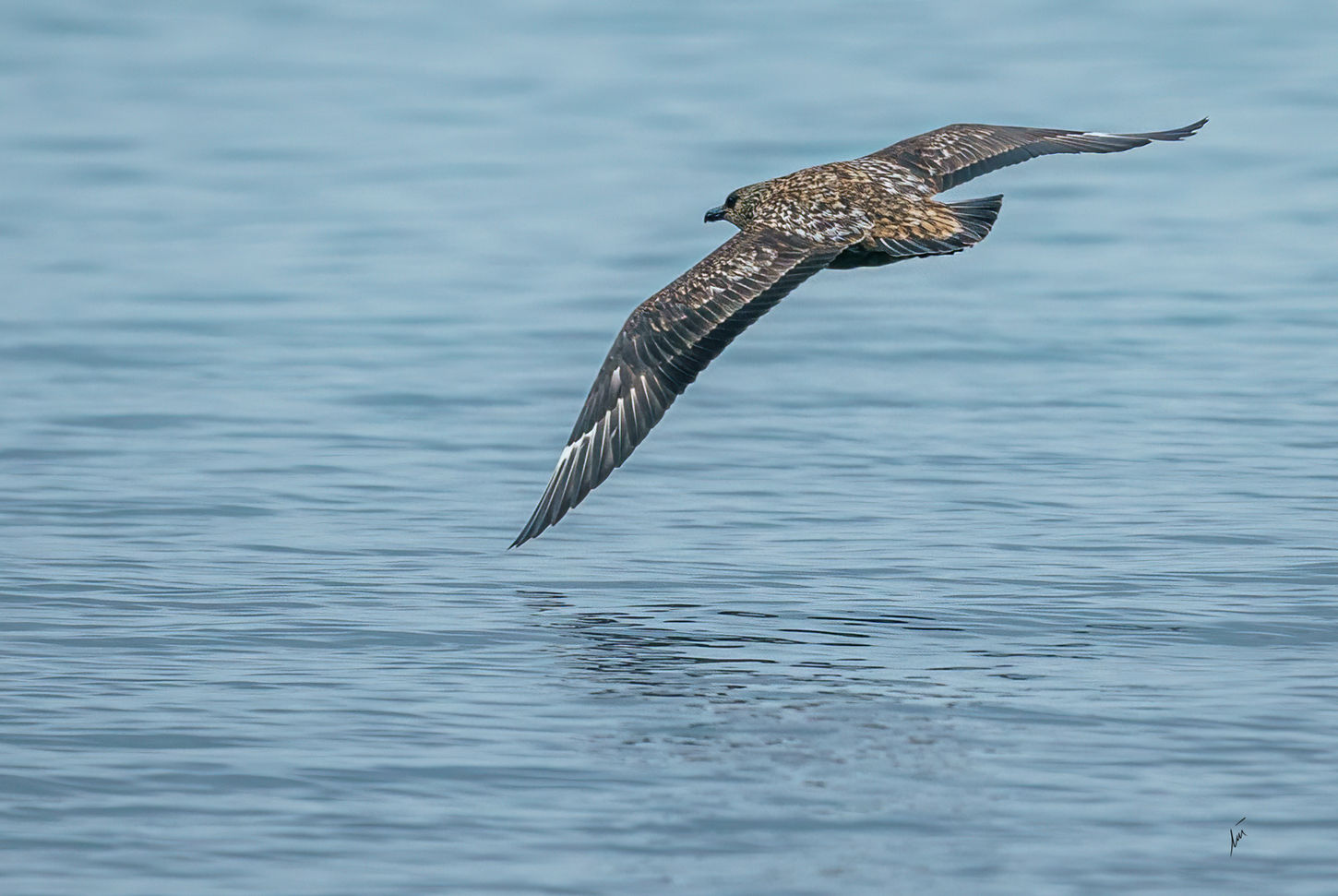 Copia de _SVB6541-Edit.jpg