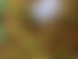 Přijeďte si v sobotu pro jablíčka.