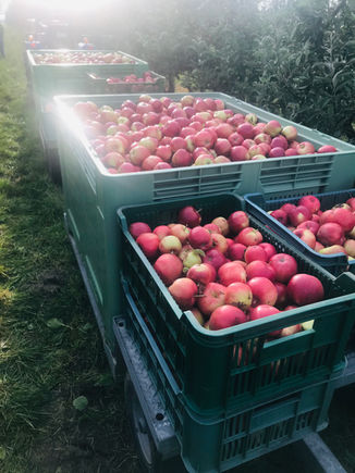 Prodej probíhá i po posledním nařízení vlády ze dne 21.10.2020