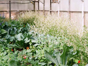 PILLAR - QUALITY PLAN : THE QUALITY GOES IN BEFORE THE NAME GOES ON... 