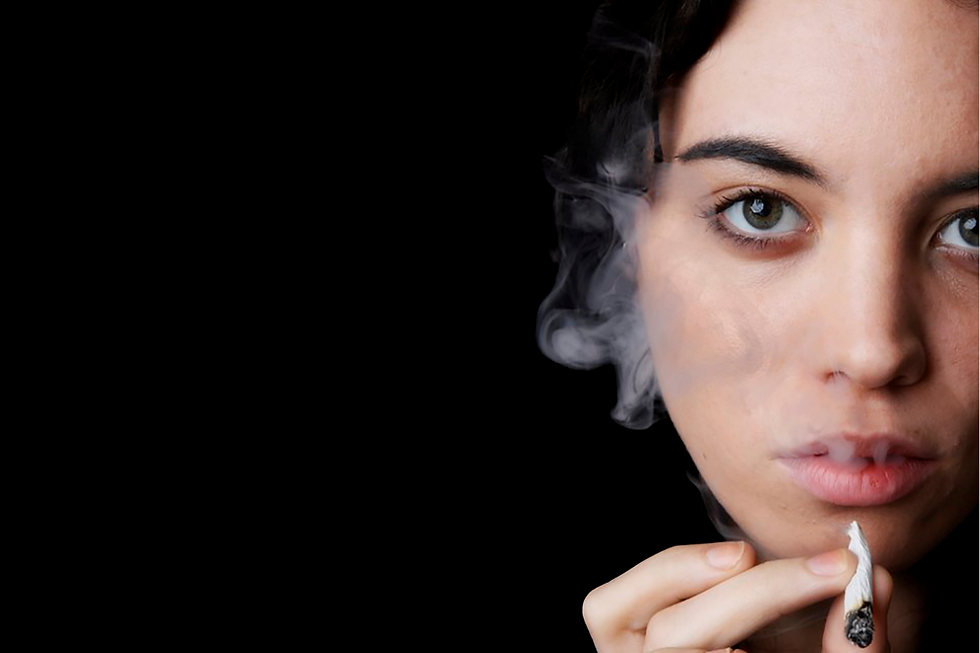 Agency Courses Advent ELearning agency-courses-advent-elearning