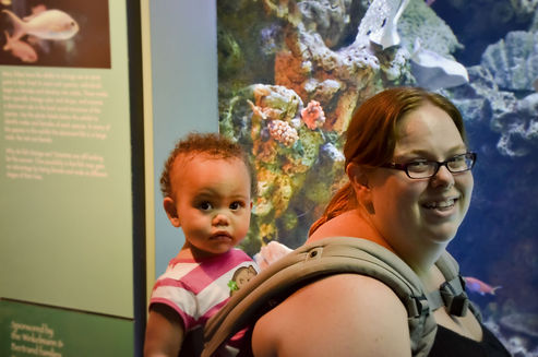 Mother backwearing toddler in Ergobaby carrier