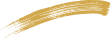 Vector 1.png