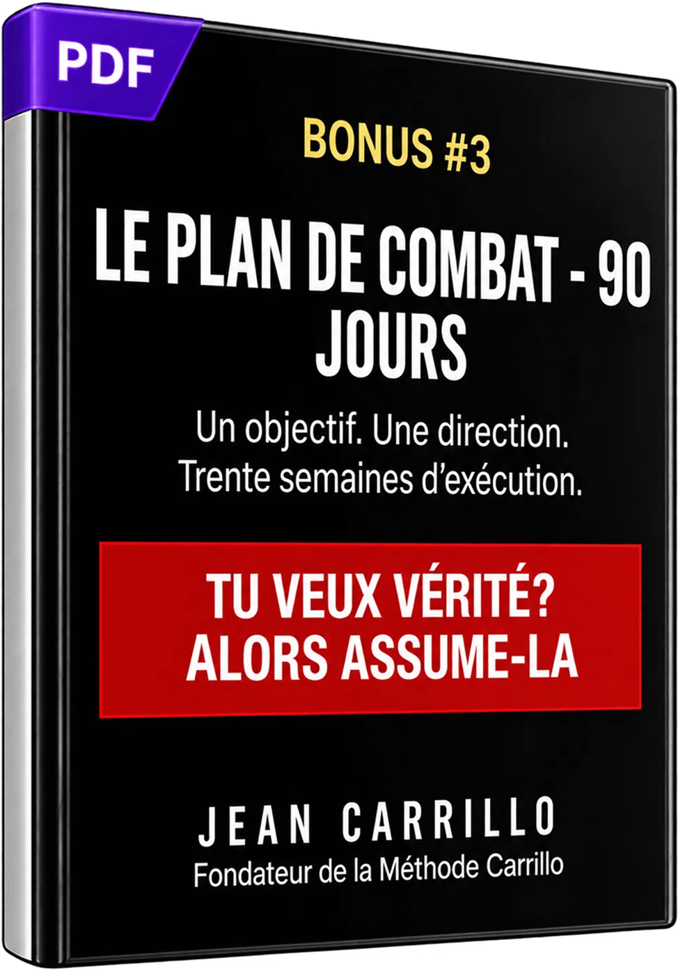 PDF 3.webp