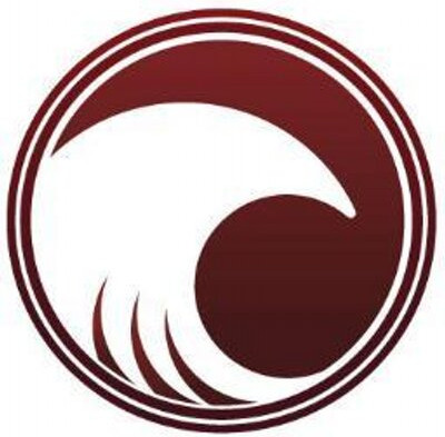 Namiryu logo