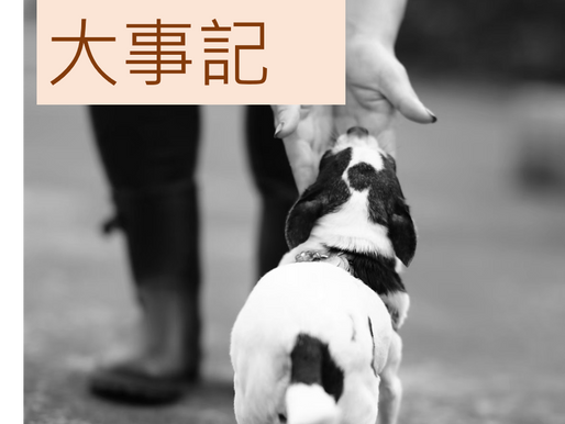 2016年大事記