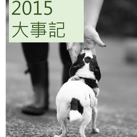 2015年大事記