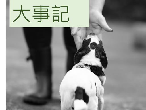 2015年大事記