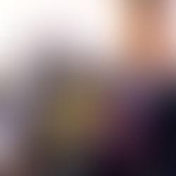 2017各縣市動保收容網站調查