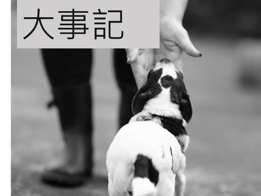 2017大事記