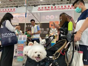 飼主最關心動保政策排行榜大公開!