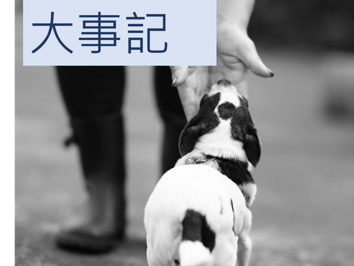 2014年大事記