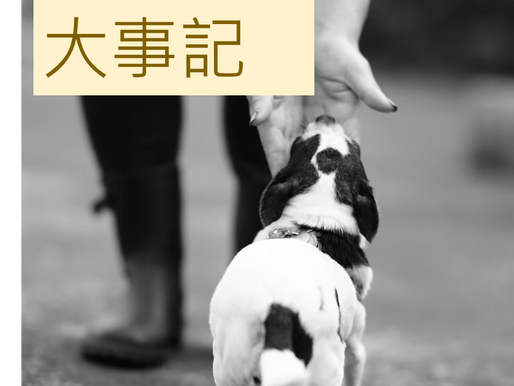 2012年大事記