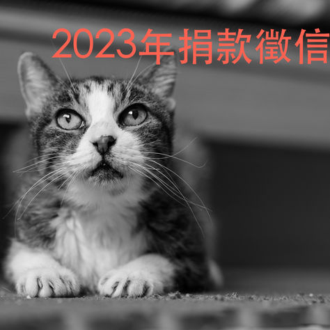 捐款徵信2023年1-12月