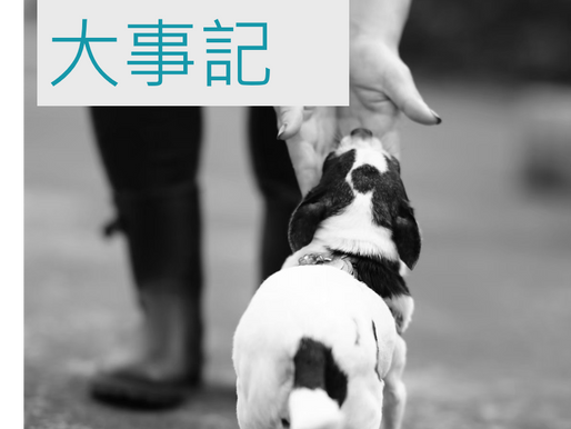 2013年大事記
