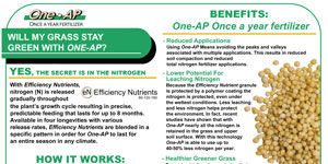 8.5 x 11 Inside Folding Flyer