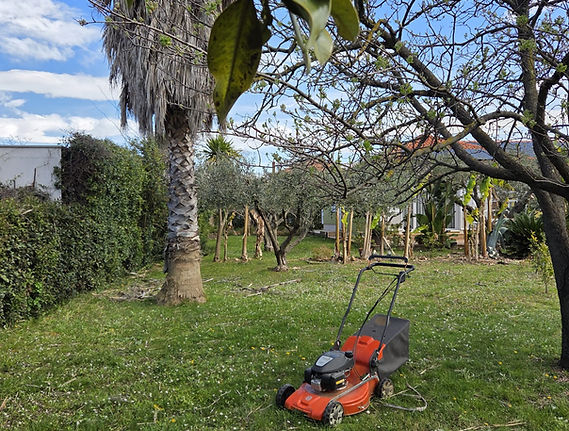 WhatsApp Image 2026-04-02 at 15.01.24.jpeg