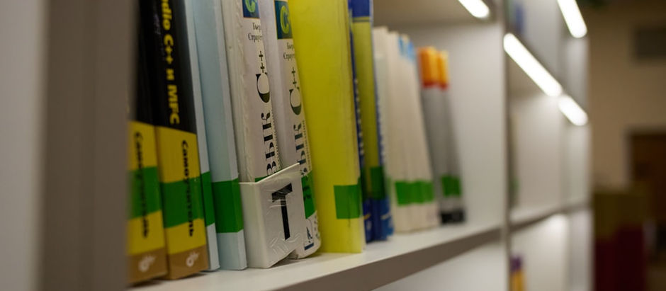 Early Literacy Challenges