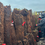 Thumbnail: Dicksonia Antarctica - Australian Tree Fern