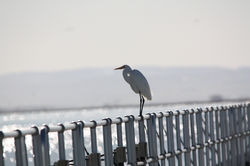IMG_3491