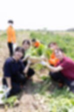 小148.jpg