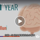 大腦發展時間線給寶寶最好的開始!