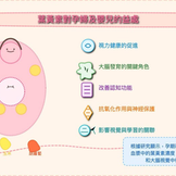 葉黃素對胎兒認知能力和學習能力的影響