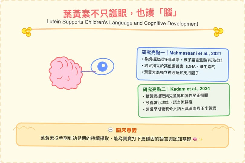 🧠👧 葉黃素不只護眼，也護「腦」