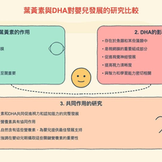 葉黃素與DHA對嬰兒發展的研究比較