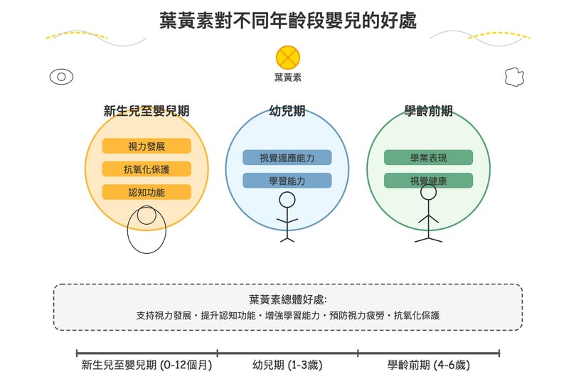 葉黃素對不同年齡段嬰兒的好處
