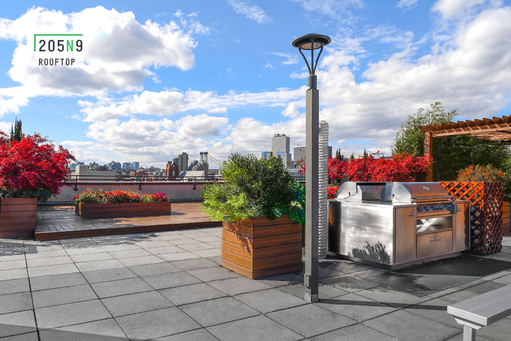 205N9 - SE - Rooftop.png