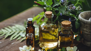 Xanadu presents: BUGS Essential Oil Class