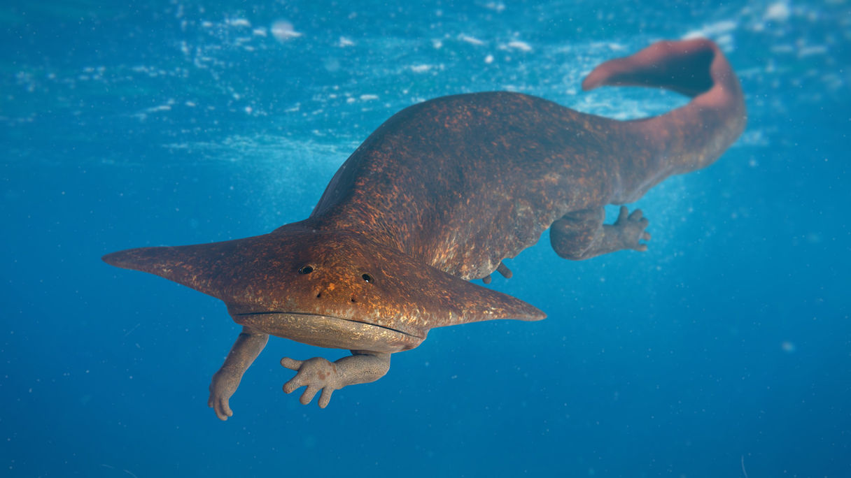 Website BOOK Life Gallery Diplocaulus Shutterstock 3000px.jpg