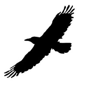 Contribute Your Choice bird icon PD pbay