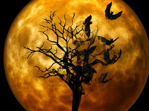 MAMMAL ORIGINS | Halloween Special: