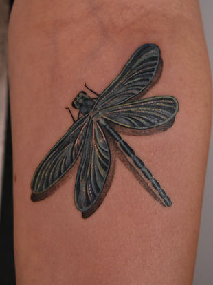 Black and grey dragonfly tattoo with detailed wings and fine line shading on the leg.