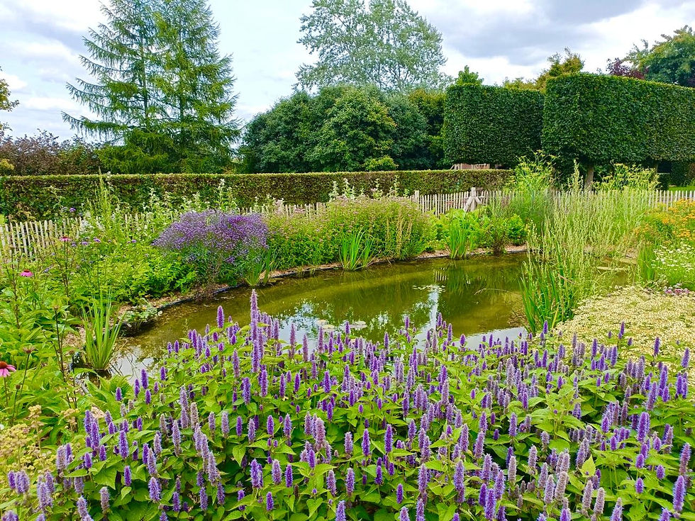 Mare paysagère multifonction : bassin de récupération des eaux pluviales intégré, alliant esthétisme et performance hydrique pour un jardin durable.